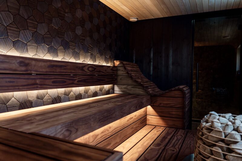 8 Best Red Light Therapy Panels With Near Infrared in 2026